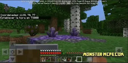 Amethyst Blocks