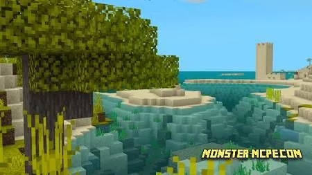 Tropical locations