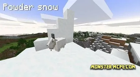 Powder Snow
