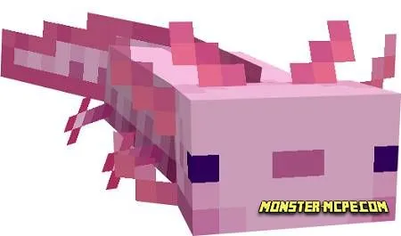Lucy Axolotl