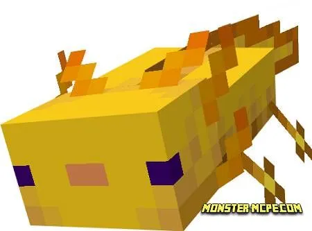 Golden Axolotl