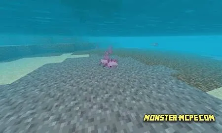 Axolotls Replica Concept (4)