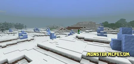 Ice biomes