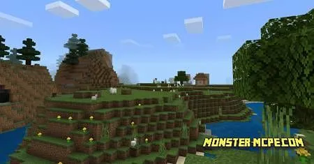 village