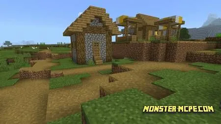 village (1)