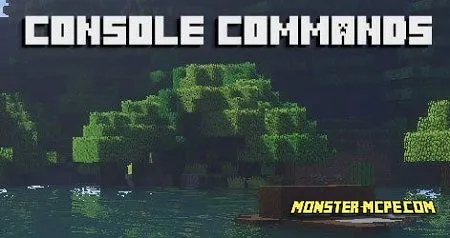 Console Commands