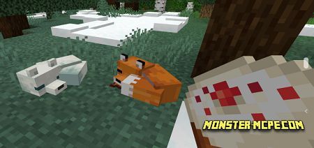 Tameable Foxes Add-on 1.16+