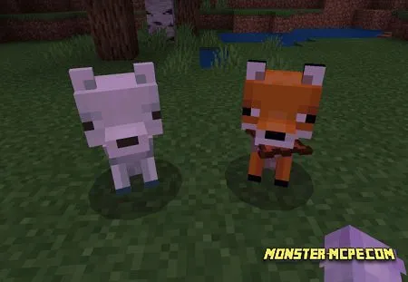 Tameable Foxes (3)