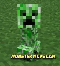 Little baby Creeper