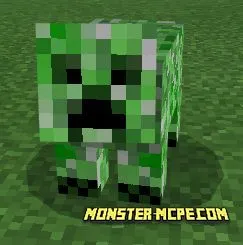 Crig Creeper