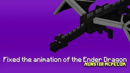 the Ender Dragon