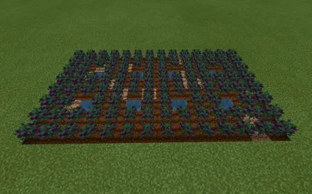 Rustic Agriculture (4)