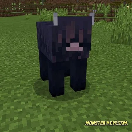 Woolly