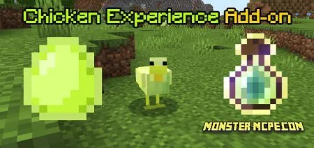 Chicken Experience Add-on 1.16+