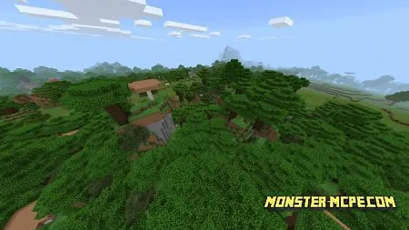 Village And Many Biomes Near (6)