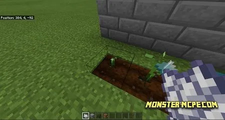 Bone Meal
