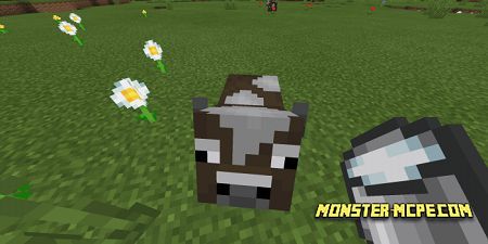 Minicow (5)
