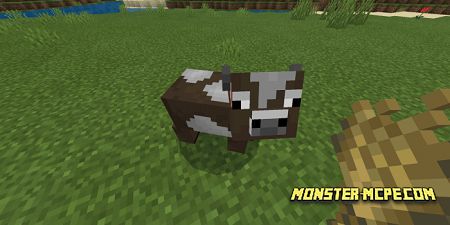 Minicow (1)