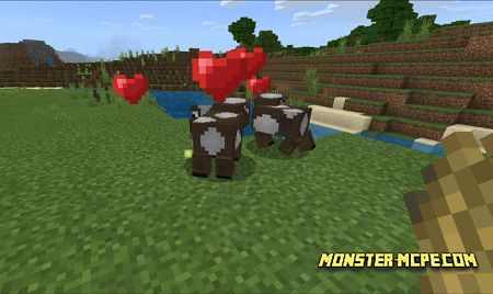 Minicow (2)