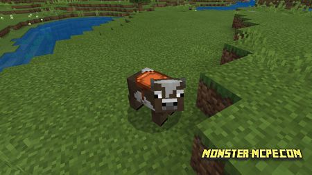 Minicow (3)
