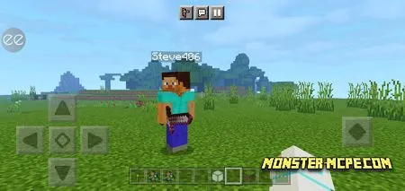 Steve_406