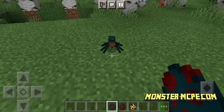spiders (2)