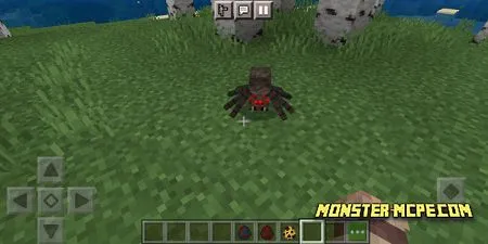 spiders (1)