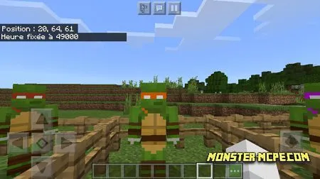 Michaelangelo