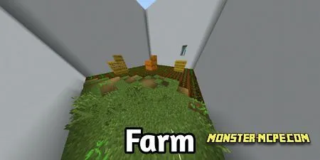Farm