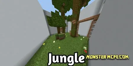 Jungle