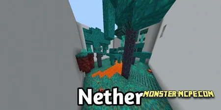 Nether
