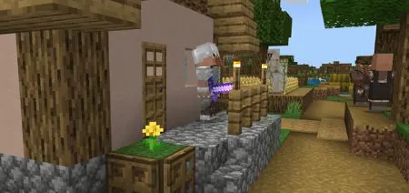 Village Guards (2)