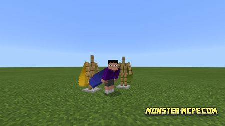 Colored Elytras