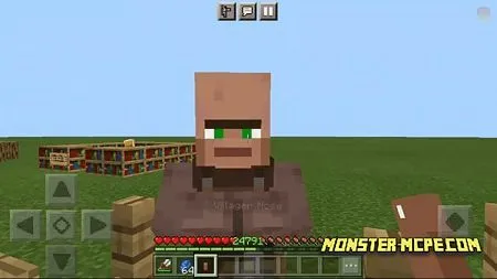 Villager Noses (2)
