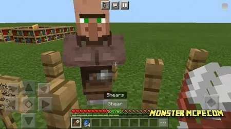 Villager Noses (1)