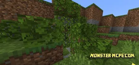 Find The Button: Dimensions Map