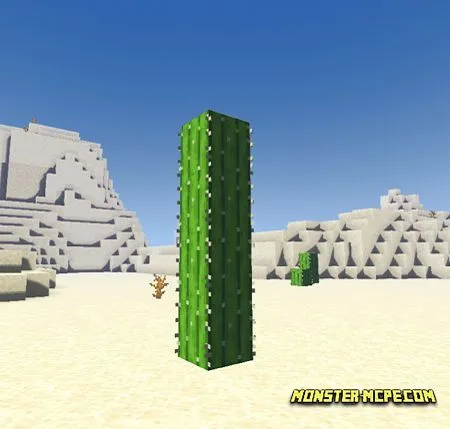 Cactus
