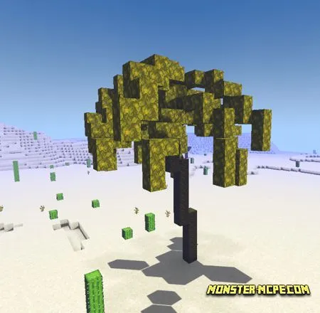 Palm Tree