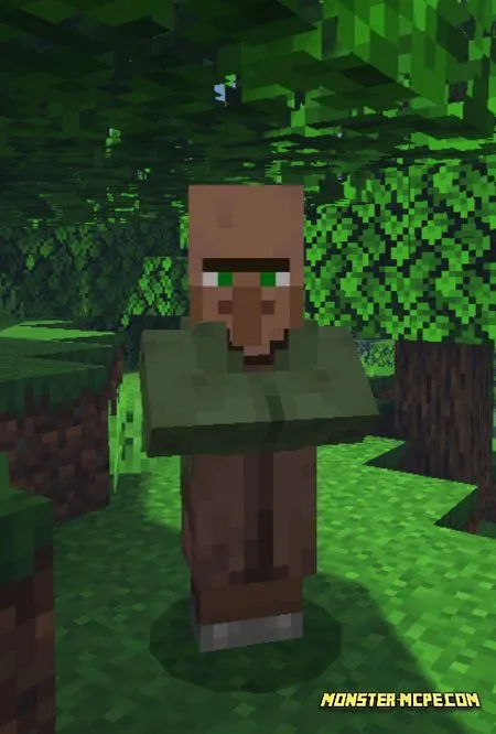 Lost Villager (1)