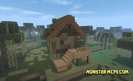 Swamp House