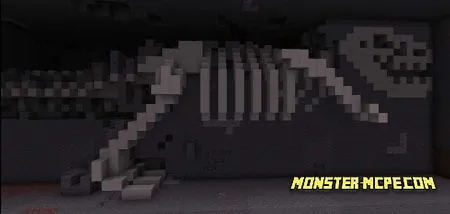 Dinosaur Fossil (3)