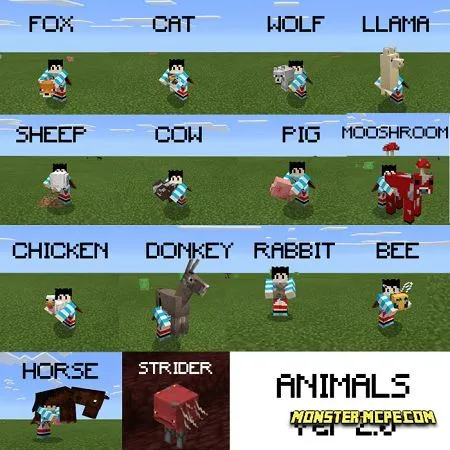 Carry Animals (1)