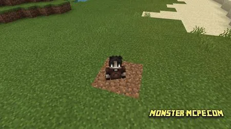 Quicksand Dirt