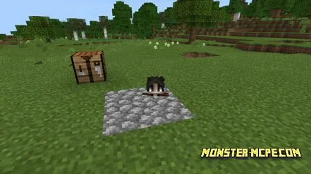 Quicksand Stone