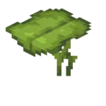 Dripleaf Plant