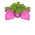 Spore Blossom