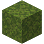 moss blocks