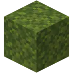 moss blocks