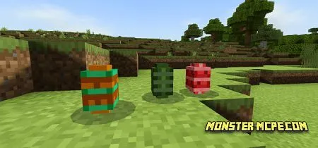 Dinosaur eggs