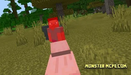 Aggressive Animals (1)